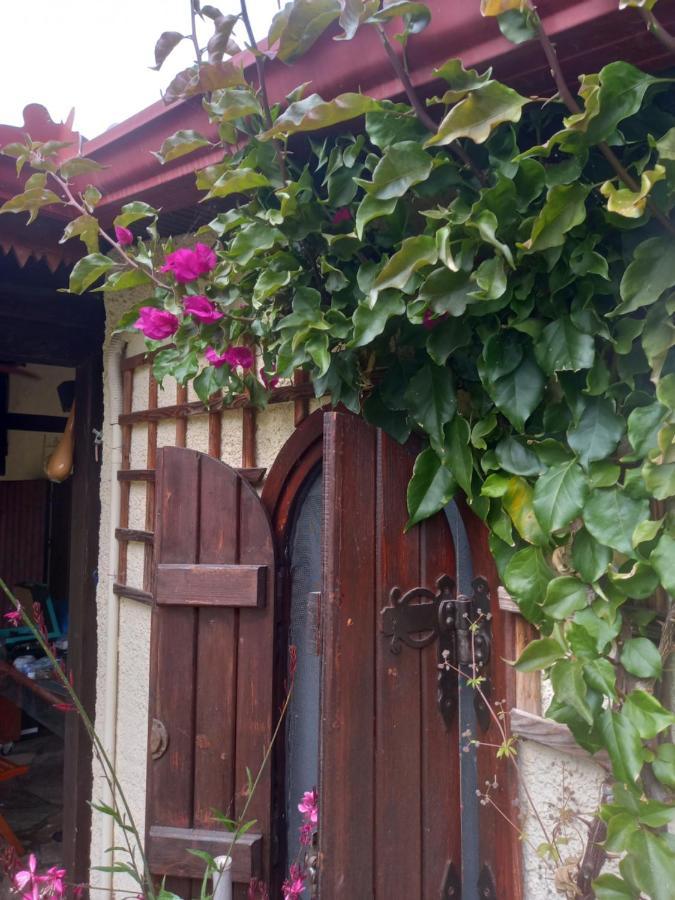 Sunday 2Br Welcome Stay Private Holiday House In Chalkidiki - Close To Karydi Beach Vourvourou Bagian luar foto